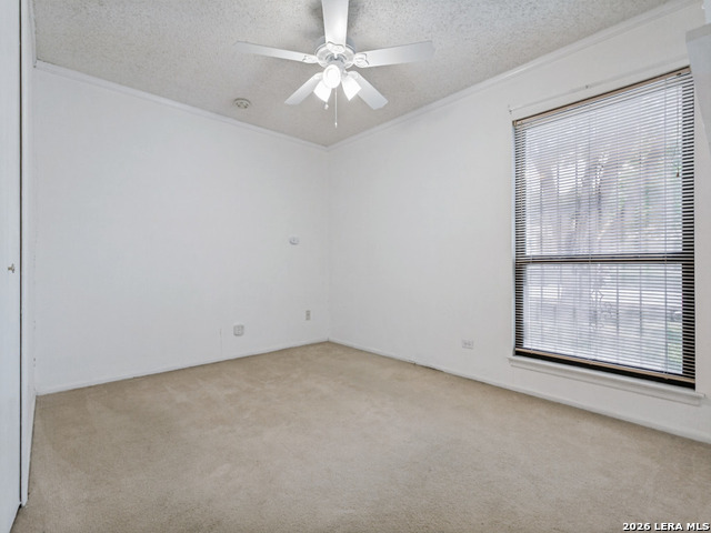 7331 Crownpiece Property Photo 16