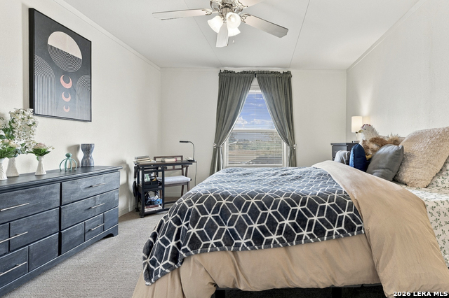 497 Pr 6431 Property Photo 16