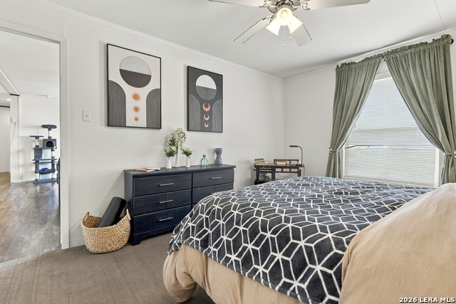 497 Pr 6431 Property Photo 18
