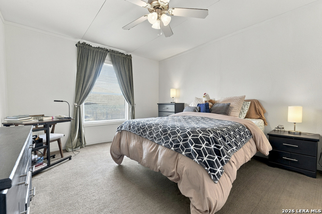 497 Pr 6431 Property Photo 19