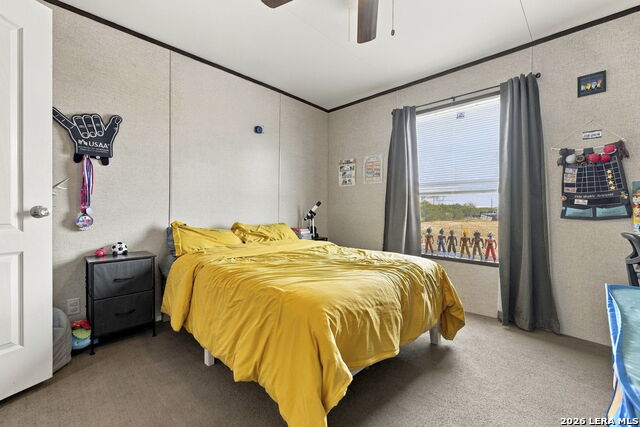 497 Pr 6431 Property Photo 30