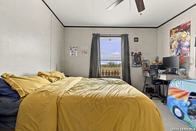 497 Pr 6431 Property Photo 31