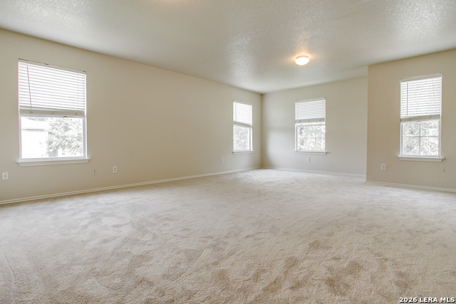 10542 Manor Crk Property Photo 20