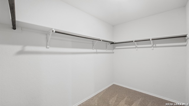 2924 Panther Spg Property Photo 29