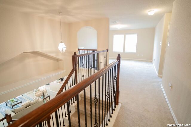 4210 Loring Park Property Photo 24