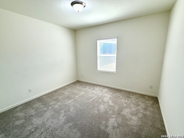 12823 Cygnus Property Photo 10