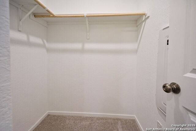 5029 Winecup Cv Property Photo 22