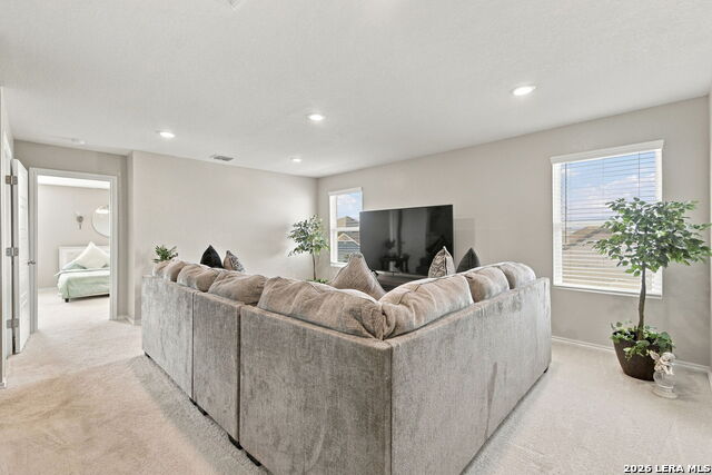 8650 Eagle Hill Mdw Property Photo 15
