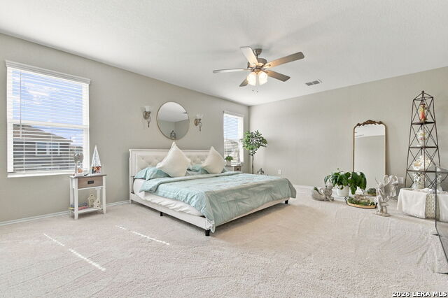 8650 Eagle Hill Mdw Property Photo 17