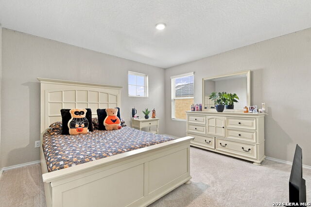 8650 Eagle Hill Mdw Property Photo 23