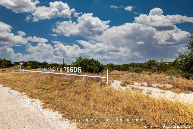 123 Levi English Property Photo 8