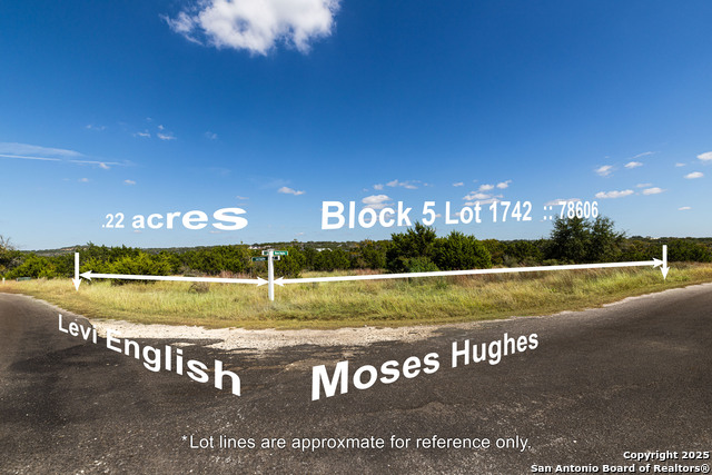 123 Levi English Property Photo 10