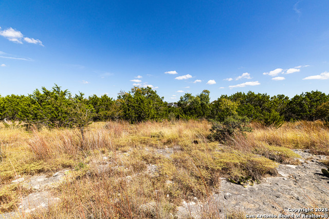 123 Levi English Property Photo 14