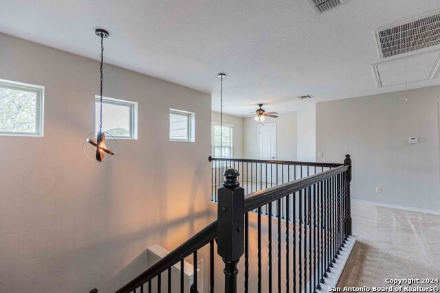 422 Tequila Rnch Property Photo 29