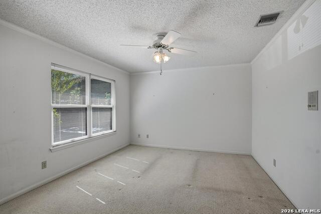 29623 Terra Vista Property Photo 21