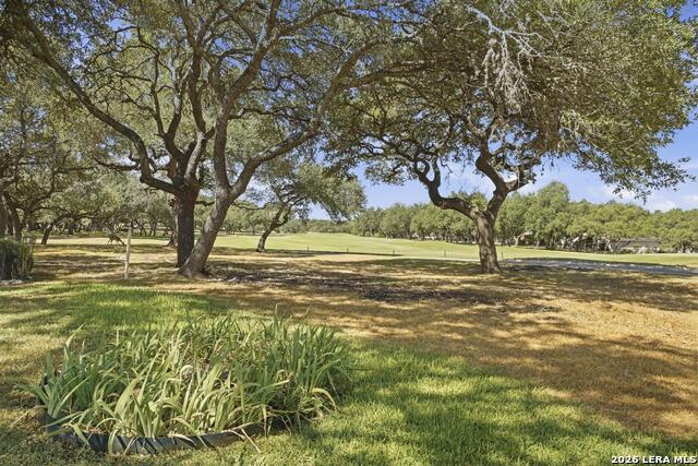29623 Terra Vista Property Photo 23