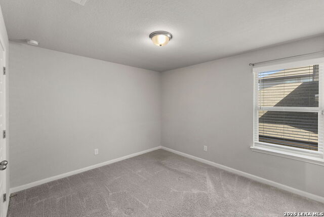 13135 Braxon Pass Property Photo 30