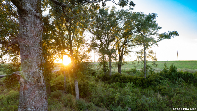 3803 Private Road 4173 Property Photo 15