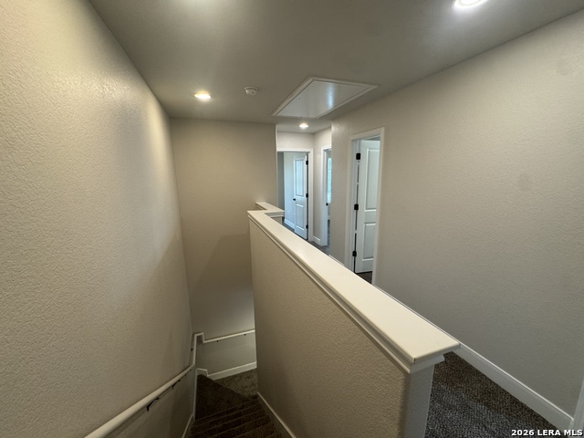 6310 Melanzane Ave Property Photo 8