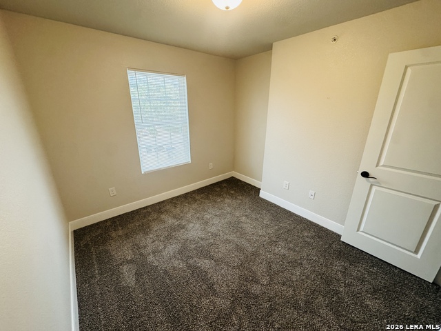 6310 Melanzane Ave Property Photo 15