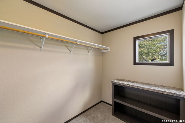 30 Terry Ln Property Photo 25