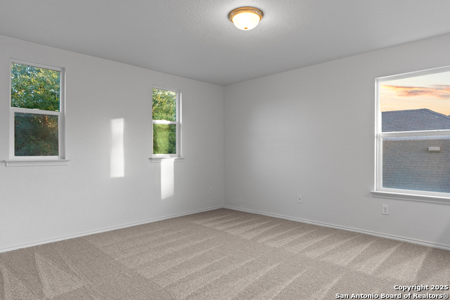 1203 Prairie Grass Property Photo 16