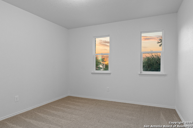 1203 Prairie Grass Property Photo 21