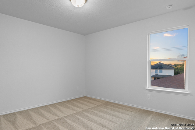 1203 Prairie Grass Property Photo 24