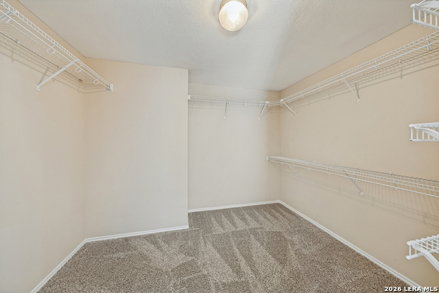 1730 Twilight Blf Property Photo 24