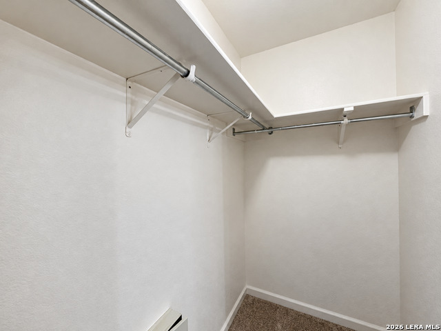 10443 Pine Glade Property Photo 21