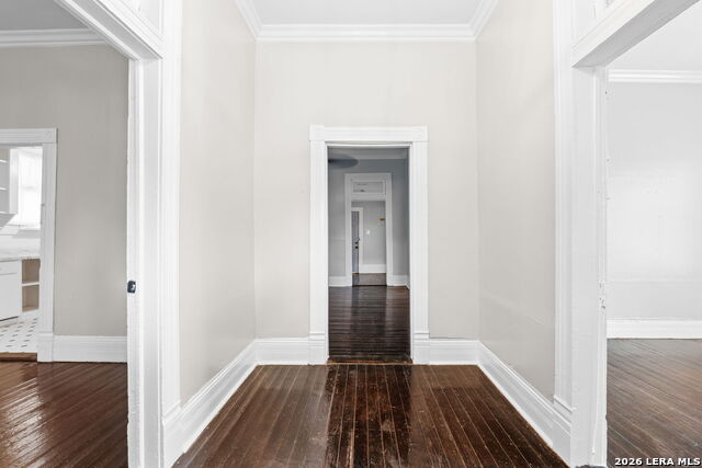 121 Daniel St Property Photo 4
