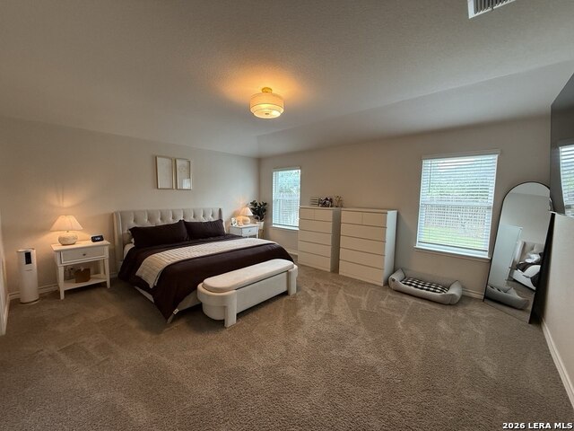 22126 Backspin Property Photo 10