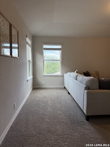 22126 Backspin Property Photo 16