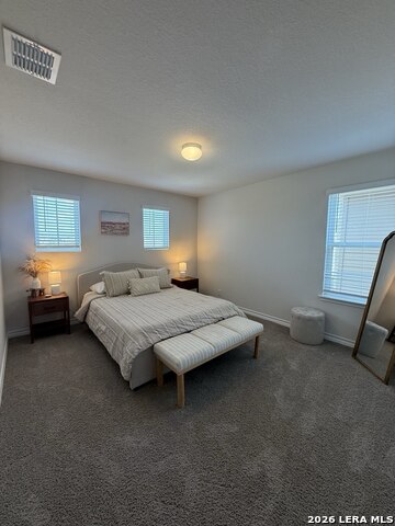 22126 Backspin Property Photo 20
