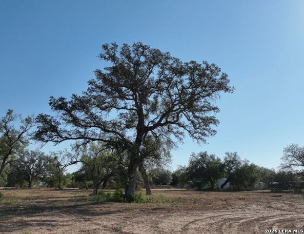 146 18th Property Photo 4
