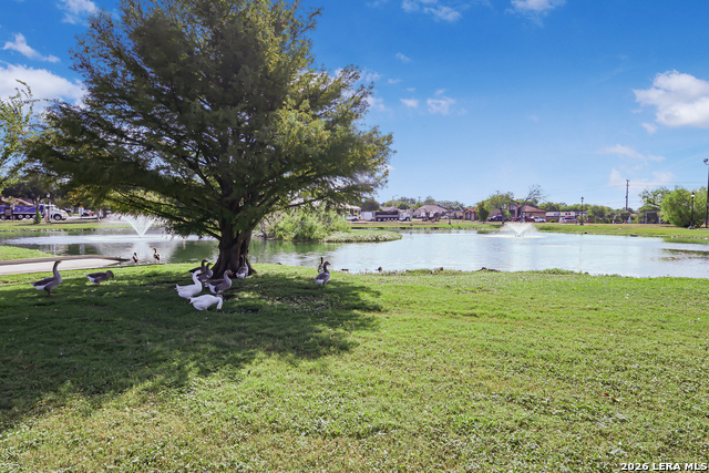 5903 Brook Fls Property Photo 24