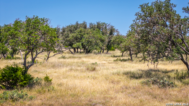 26477 Highway 83 Property Photo 8