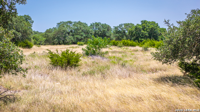 26477 Highway 83 Property Photo 24