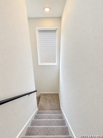 6609 Dali Bnd Property Photo 8