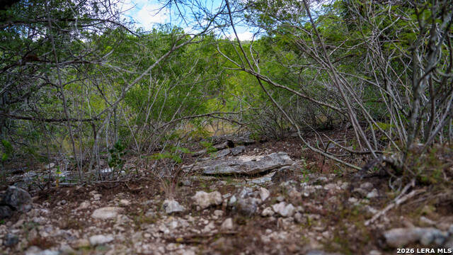 136 Acres Mesa Verde Property Photo 21
