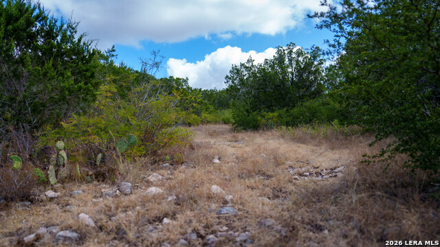 136 Acres Mesa Verde Property Photo 22