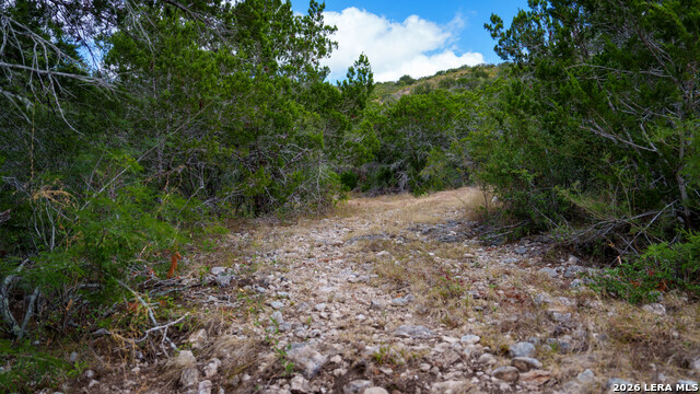 136 Acres Mesa Verde Property Photo 23