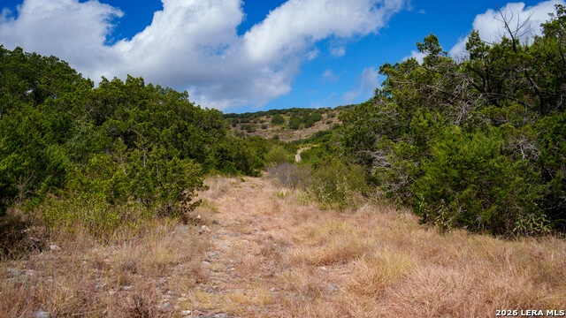136 Acres Mesa Verde Property Photo 25