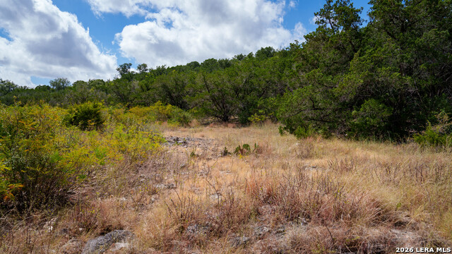 136 Acres Mesa Verde Property Photo 26