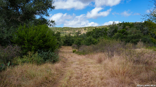 136 Acres Mesa Verde Property Photo 28