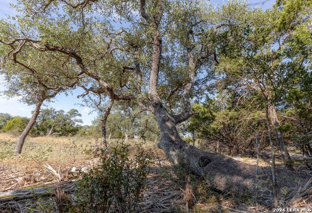 27719 Sunny Pt Property Photo 10