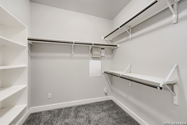 28815 Throssel Ln Property Photo 20