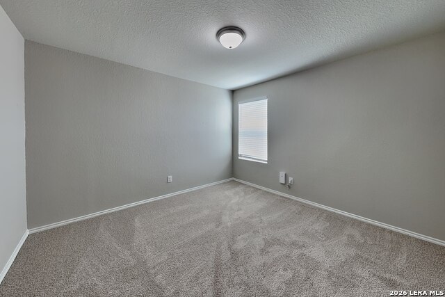 5202 Everett Loop Property Photo 10