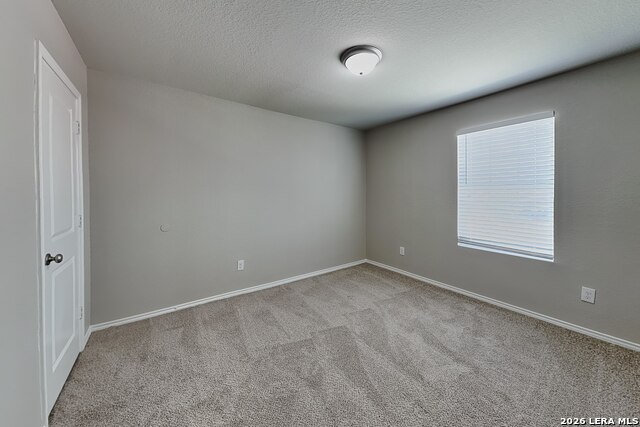5202 Everett Loop Property Photo 11