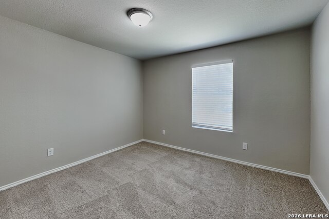 5202 Everett Loop Property Photo 12
